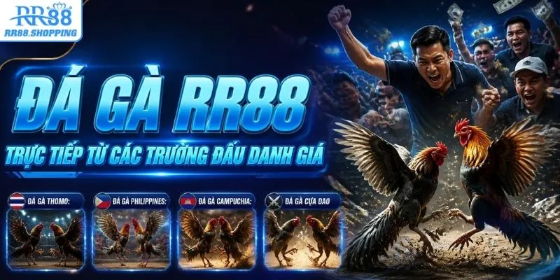 Đá gà trực tiếp từ các trường đấu danh giá